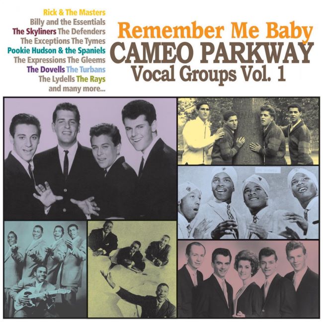 V.A. - Remember My Baby :Cameo Parkway Vocal Groups Vol 1